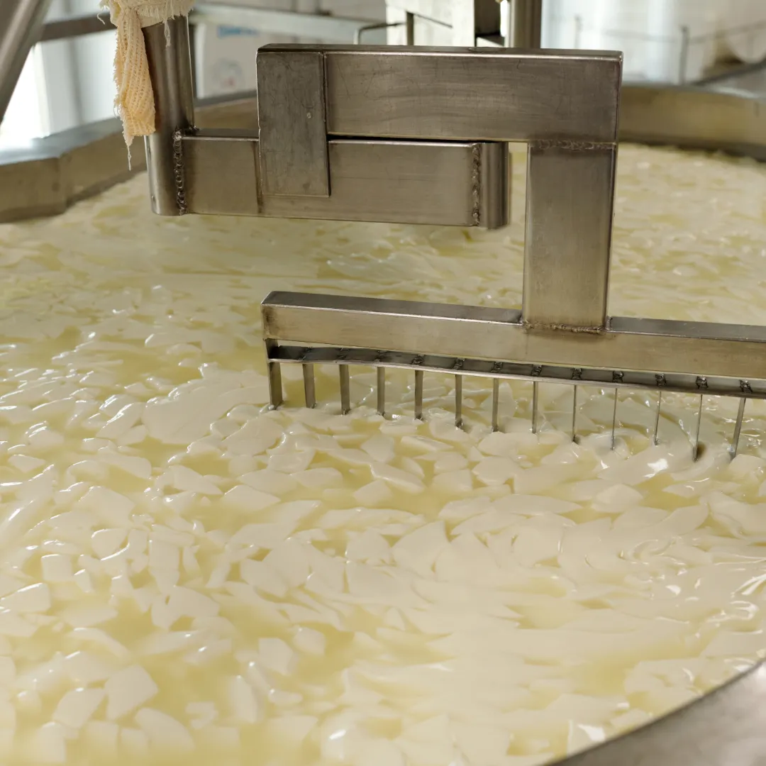 Cutting cheese curds in vat during truffle cheddar manufacturing